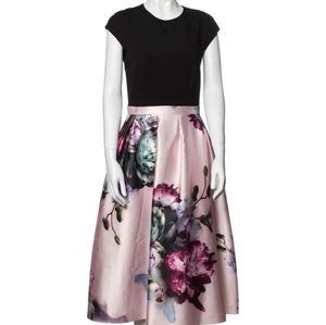 Ted Baker A-Line Floral Skirt Dress